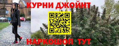 МДПВ Рузаевка