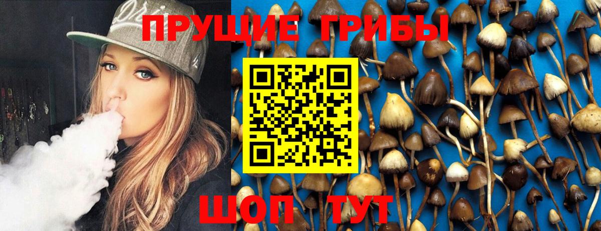 Галлюциногенные грибы прущие грибы  Псилоцибиновые грибы мицелий  Вход с VPN  Глазов 