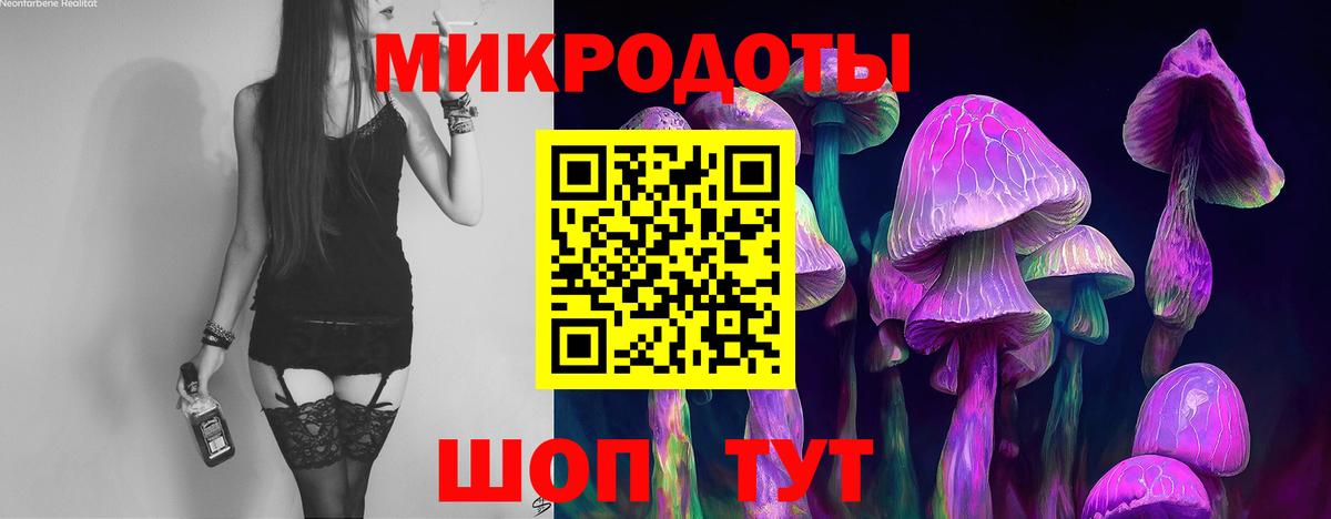 Псилоцибиновые грибы Cubensis Глазов